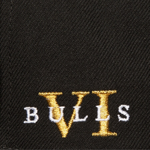 CHICAGO BULLS