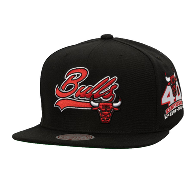 CHICAGO BULLS