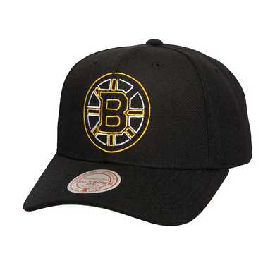 BOSTON BRUINS