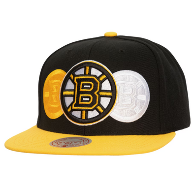 BOSTON BRUINS