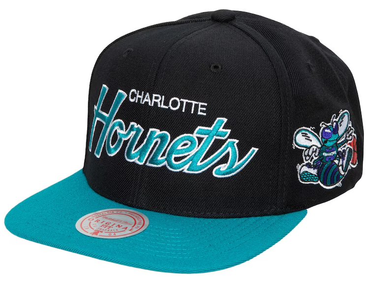 CHARLOTTE HORNETS