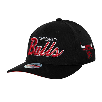 CHICAGO BULLS