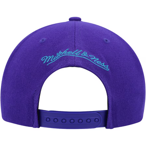 CHARLOTTE HORNETS