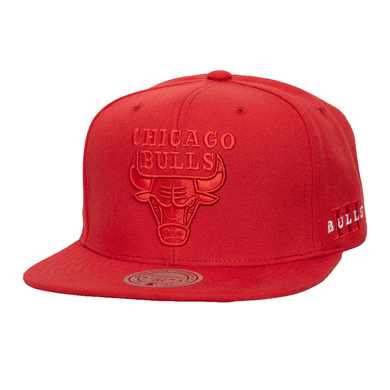 CHICAGO BULLS