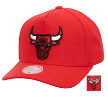 CHICAGO BULLS
