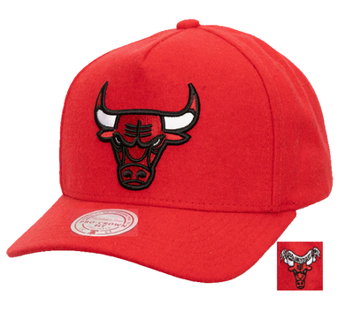 CHICAGO BULLS