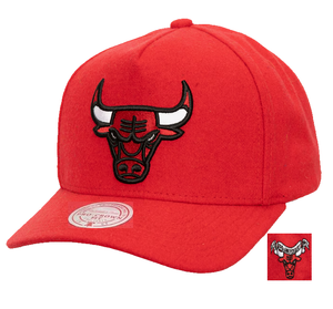 CHICAGO BULLS