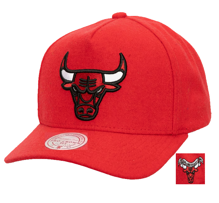 CHICAGO BULLS