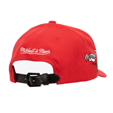 CHICAGO BULLS