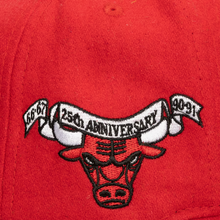CHICAGO BULLS