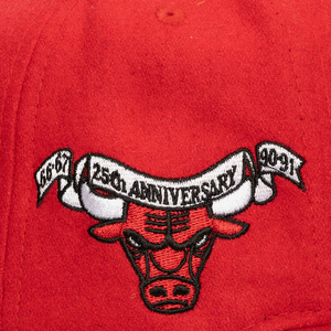 CHICAGO BULLS