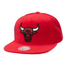 CHICAGO BULLS