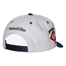MINNESOTA TWINS