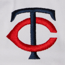 MINNESOTA TWINS