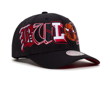 CHICAGO BULLS