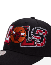 CHICAGO BULLS