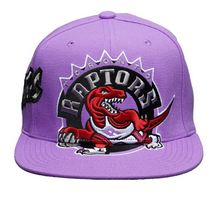 TORONTO RAPTORS