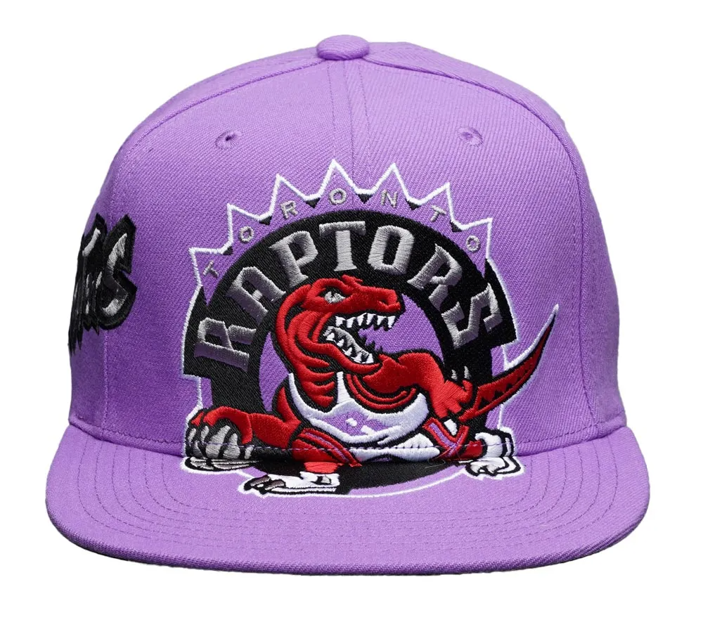 TORONTO RAPTORS