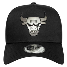 CHICAGO BULLS