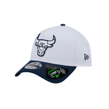 CHICAGO BULLS
