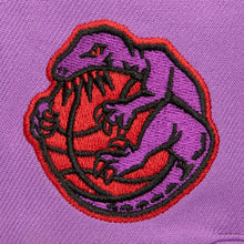 TORONTO RAPTORS