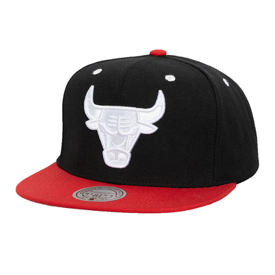 CHICAGO BULLS