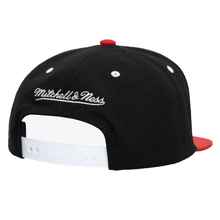 CHICAGO BULLS