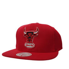 CHICAGO BULLS