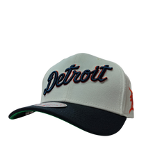 DETROIT TIGERS