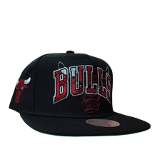 CHICAGO BULLS