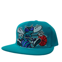 CHARLOTTE HORNETS