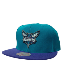 CHARLOTTE HORNETS