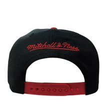 CHICAGO BULLS