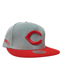 CINCINNATI REDS