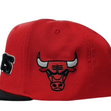 CHICAGO BULLS