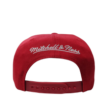 CHICAGO BULLS