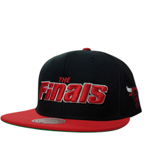 CHICAGO BULLS
