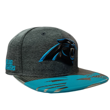 CAROLINA PANTHERS