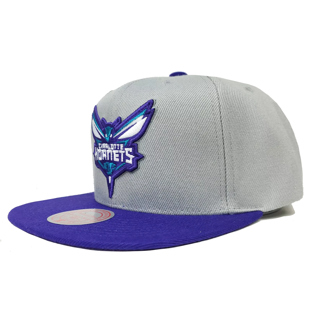 CHARLOTTE HORNETS