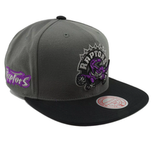 TORONTO RAPTORS