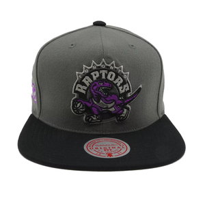 TORONTO RAPTORS