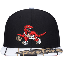 TORONTO RAPTORS