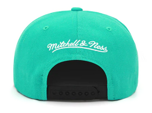 VANCOUVER GRIZZLIES