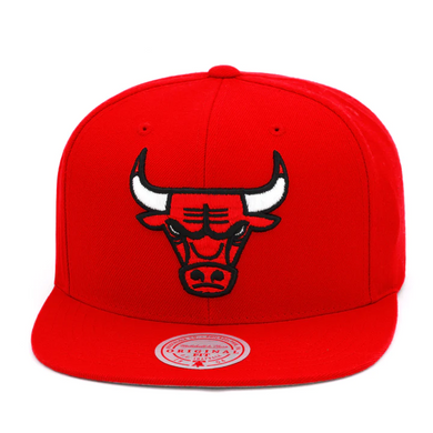 CHICAGO BULLS