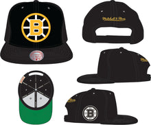 BOSTON BRUINS