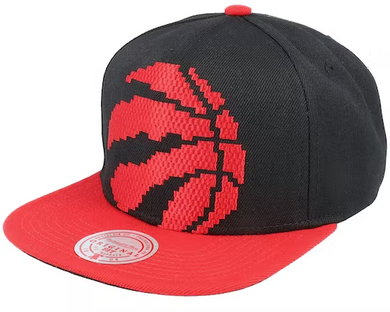 TORONTO RAPTORS