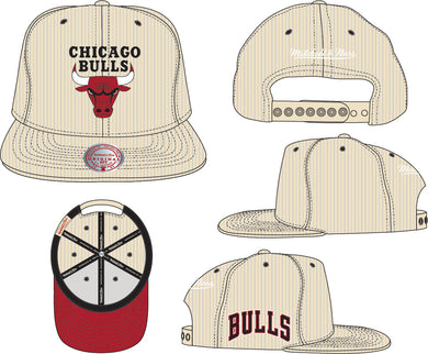 CHICAGO BULLS