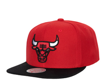 CHICAGO BULLS