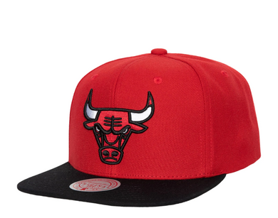 CHICAGO BULLS
