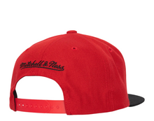 CHICAGO BULLS